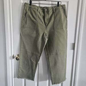 NWOT Sonoma Utility Pants